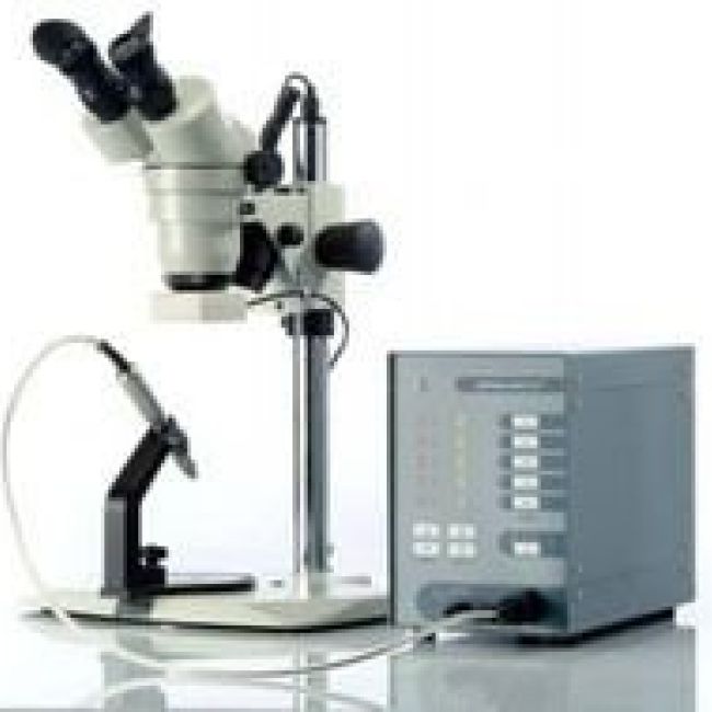 actividad de laboratorio dental