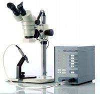 actividad de laboratorio dental